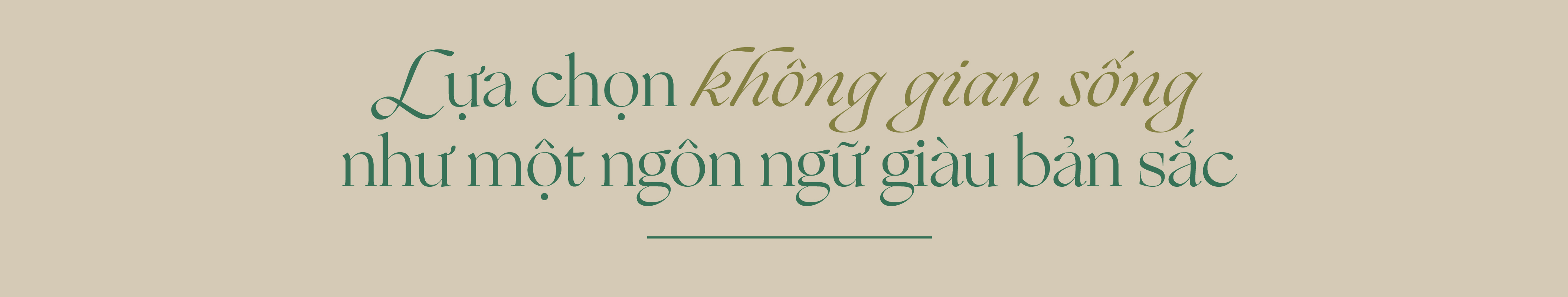 “Người Thanh Xuân”: Khi lựa chọn an trú mở ra nhịp sống mới giữa miền thông reo - Ảnh 5. “Người Thanh Xuân”: Khi lựa chọn an trú mở ra nhịp sống mới giữa miền thông reo - Ảnh 5.