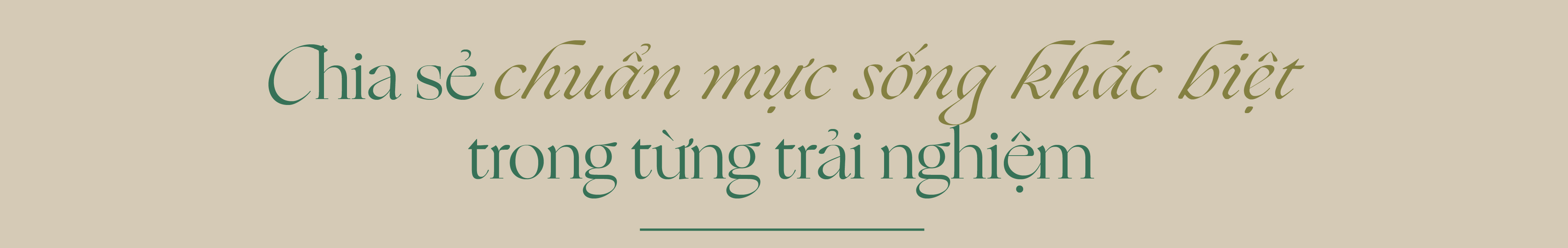 “Người Thanh Xuân”: Khi lựa chọn an trú mở ra nhịp sống mới giữa miền thông reo - Ảnh 9. “Người Thanh Xuân”: Khi lựa chọn an trú mở ra nhịp sống mới giữa miền thông reo - Ảnh 9.