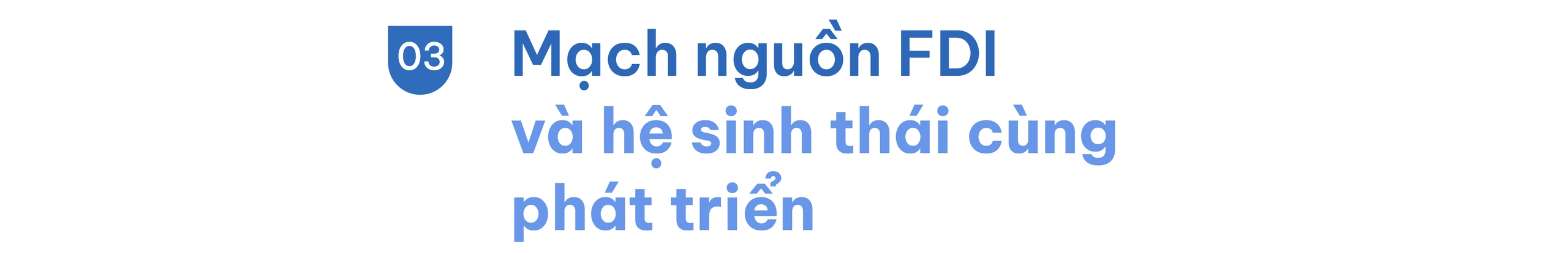 Thu hút FDI trong Đổi Mới 2.0: Việt Nam cần “dòng chảy” hay “mạch ngầm”?- Ảnh 6. Thu hút FDI trong Đổi Mới 2.0: Việt Nam cần “dòng chảy” hay “mạch ngầm”?- Ảnh 6.