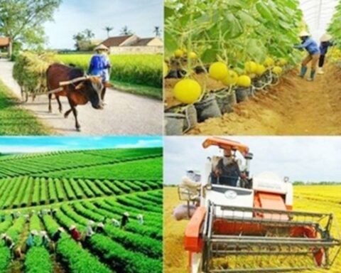 Sửa đổi, bổ sung, bãi bỏ nhiều thủ tục hành chính về thành lập và hoạt động của tổ hợp tác, hợp tác xã, liên hiệp hợp tác xã