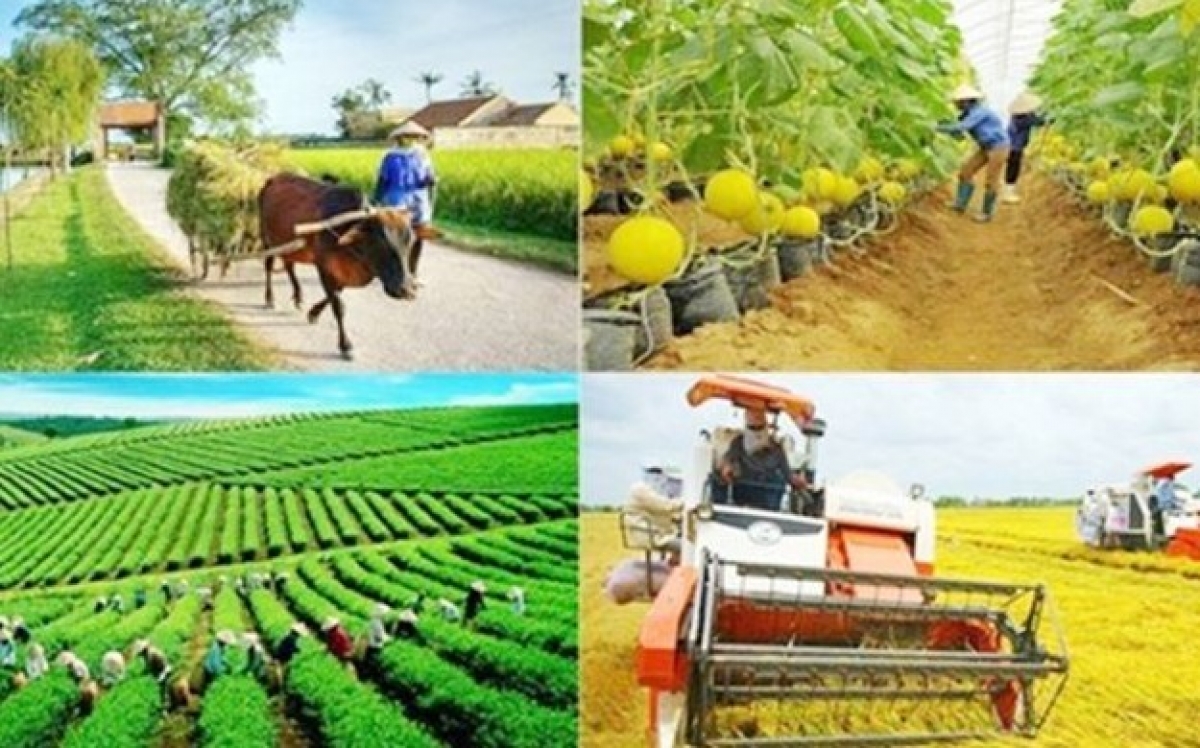 Sửa đổi, bổ sung, bãi bỏ nhiều thủ tục hành chính về thành lập và hoạt động của tổ hợp tác, hợp tác xã, liên hiệp hợp tác xã