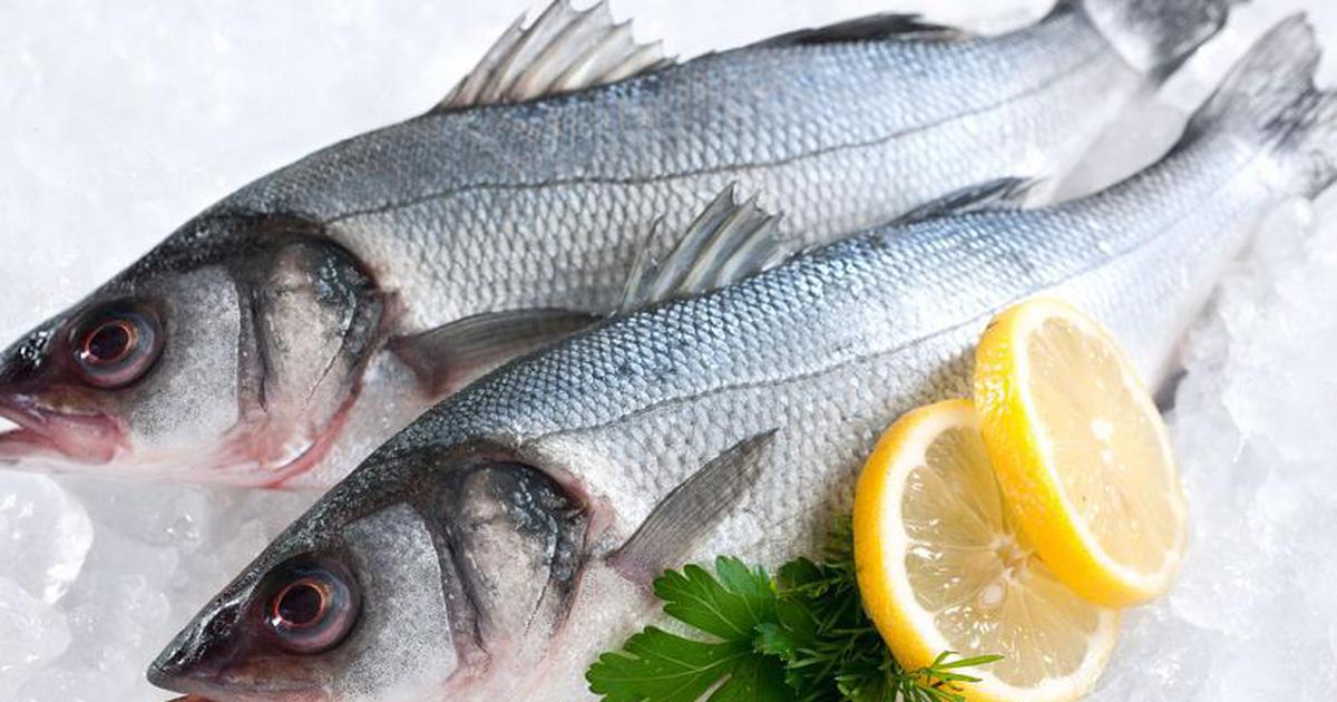 Chuyên gia cảnh báo 6 LOẠI CÁ có nguy cơ tích tụ kim loại nặng cao