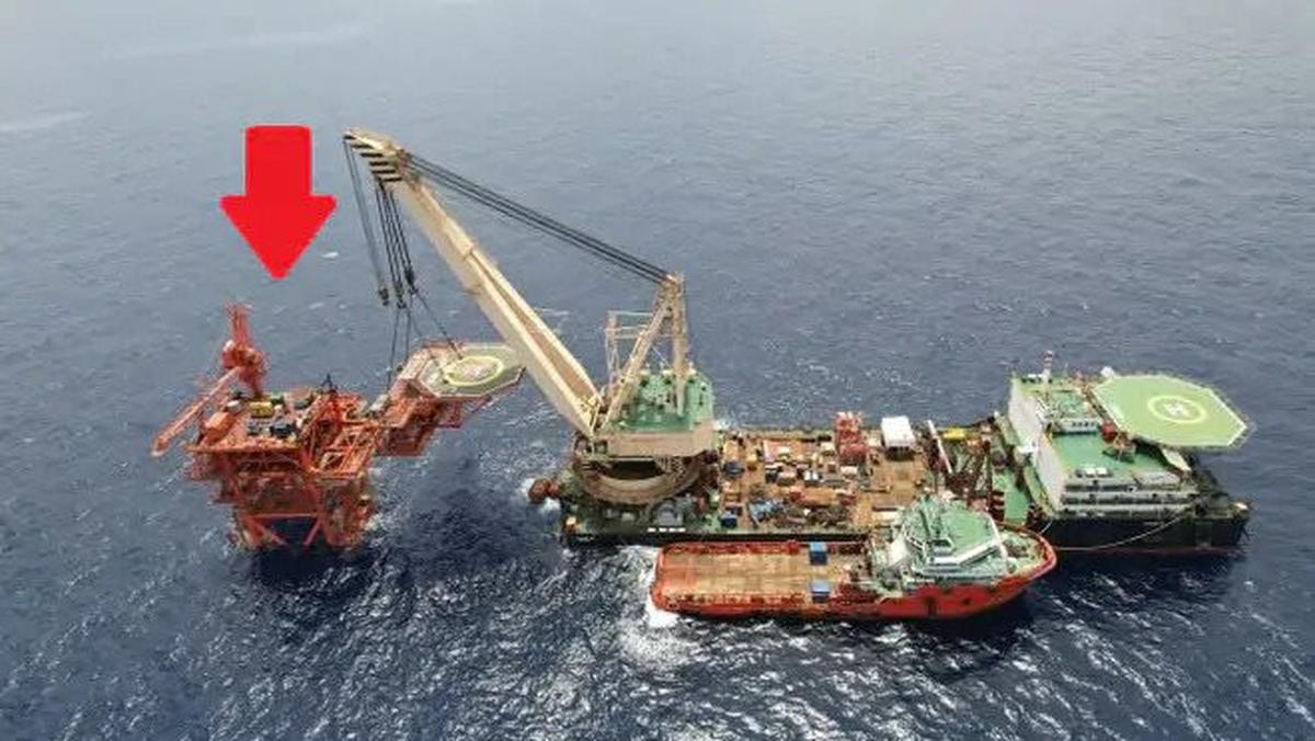 Việt Nam có “kho báu” từng được Úc, Malaysia định giá chỉ 1 USD, sau hơn 30 năm mang về trên 4,5 tỷ USD