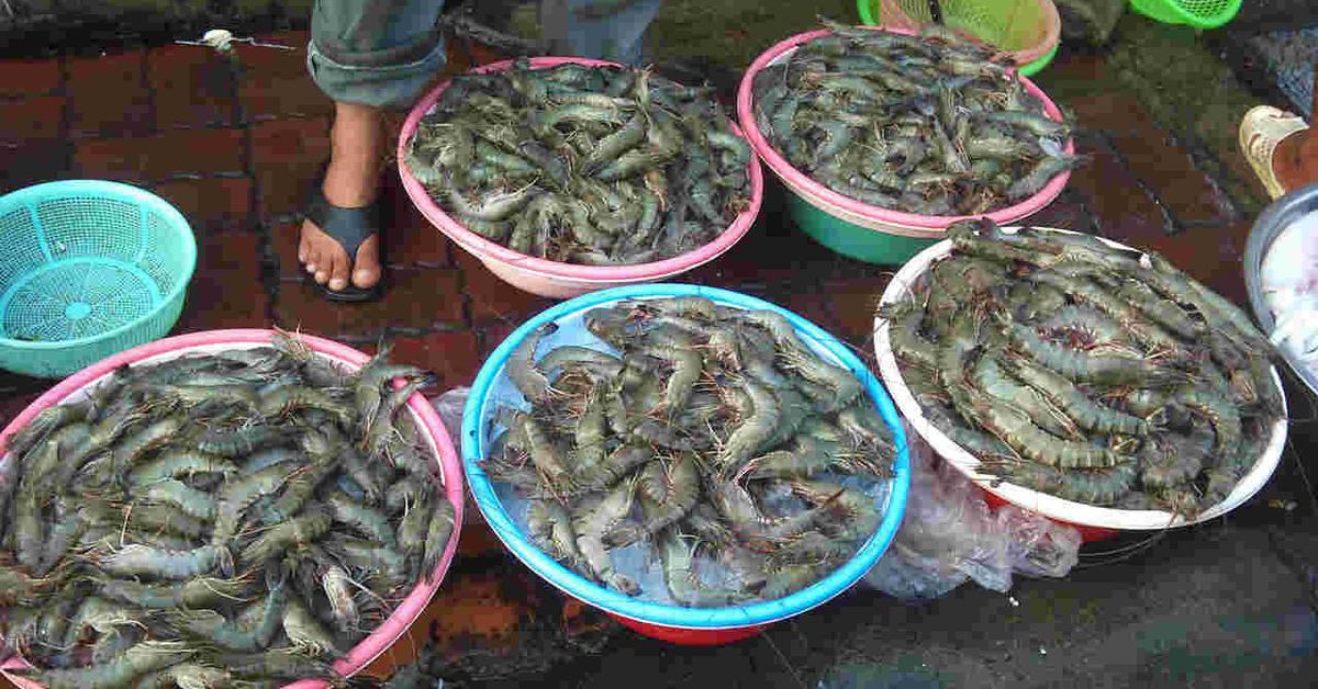 Chủ cửa hàng hải sản 20 năm nói thẳng: 5 loại tôm có cho không cũng đừng lấy, chỉ người “dại” mới mua