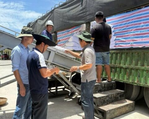 “Tích cốc phòng cơ” cho đại ngàn Tây Nguyên và Nam Trung Bộ