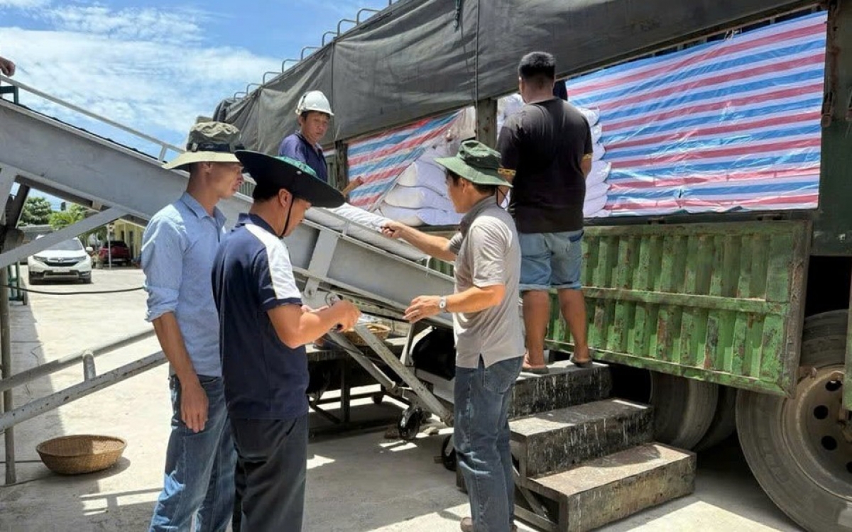 “Tích cốc phòng cơ” cho đại ngàn Tây Nguyên và Nam Trung Bộ