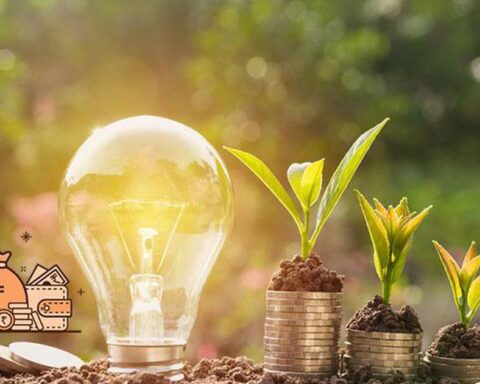 Lịch chốt quyền trả cổ tức trong tuần từ ngày 3/8-7/8, tỷ lệ cao nhất 100%