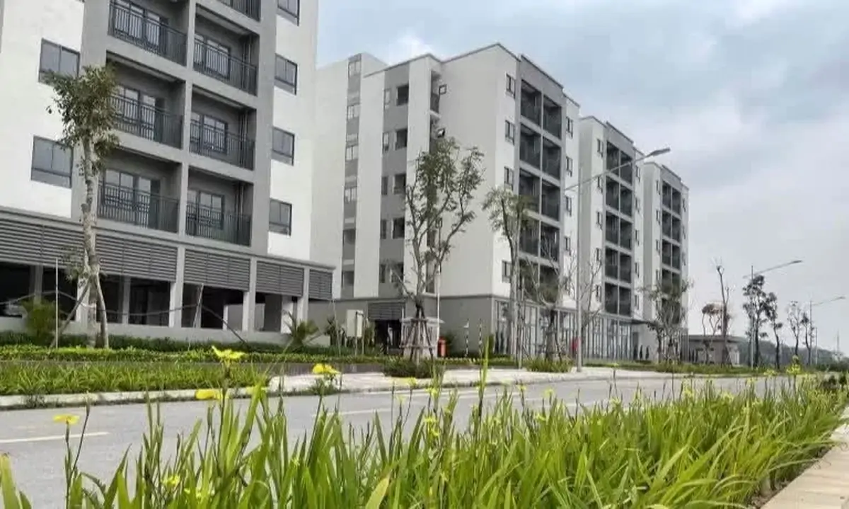 Đề nghị cắt bỏ khâu ‘thẩm định và ra quyết định miễn tiền sử dụng đất’ đối NƠXH