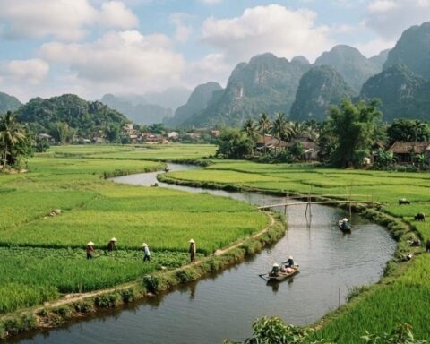 1 sào ruộng bằng bao nhiêu mét vuông?