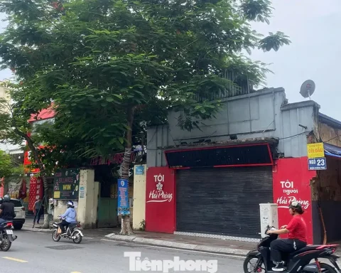 Cưỡng chế 6 nhà đất công ‘chây ì’ bàn giao mặt bằng