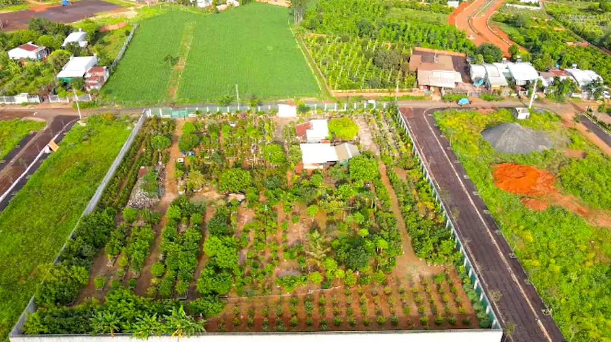 Vì sao chưa thu hồi được hơn 15 tỉ đồng tiền cọc đấu giá đất tại Gia Lai?