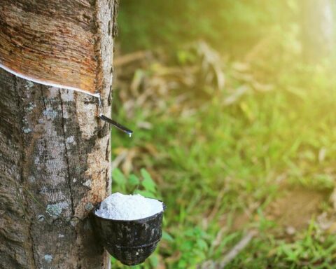 Lãi đột biến, GVR “rót” nghìn tỷ đồng vào quỹ khoa học công nghệ