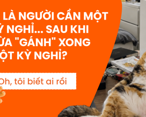 Klook tặng quà đặc biệt cho người lập kế hoạch du lịch