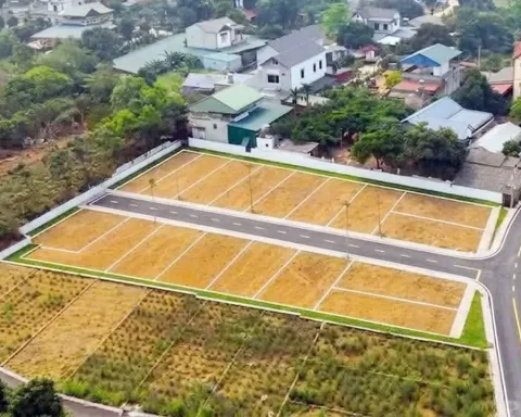 Đất nền có nơi ‘bốc hơi’ hơn một nửa so với mức giá đỉnh sốt