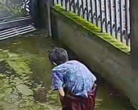 Tìm thấy thi thể cụ bà 89 tuổi ở Đồng Nai sau 10 ngày mất tích