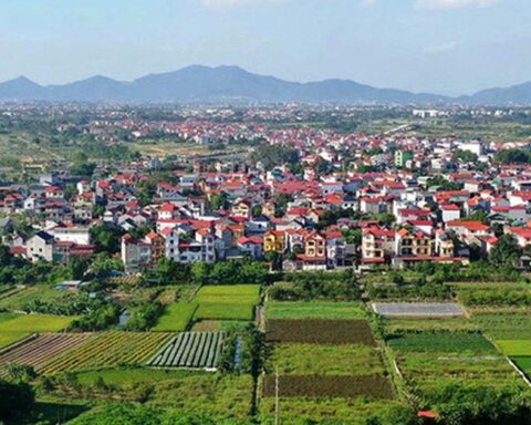 Cẩn trọng với giao dịch đất nông nghiệp bằng giấy viết tay