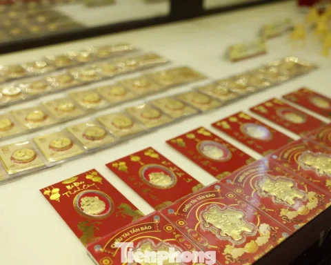 Vì sao chưa thể nhập khẩu vàng?