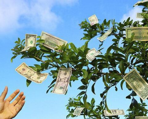 Một công ty sắp trả cổ tức 2.500 đồng/cp, gần 2 thập kỷ không năm nào quên “mưa tiền mặt” cho cổ đông
