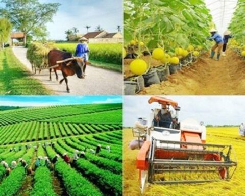 Chính phủ thông qua hồ sơ trình Quốc hội về thống nhất 4 Chương trình mục tiêu quốc gia