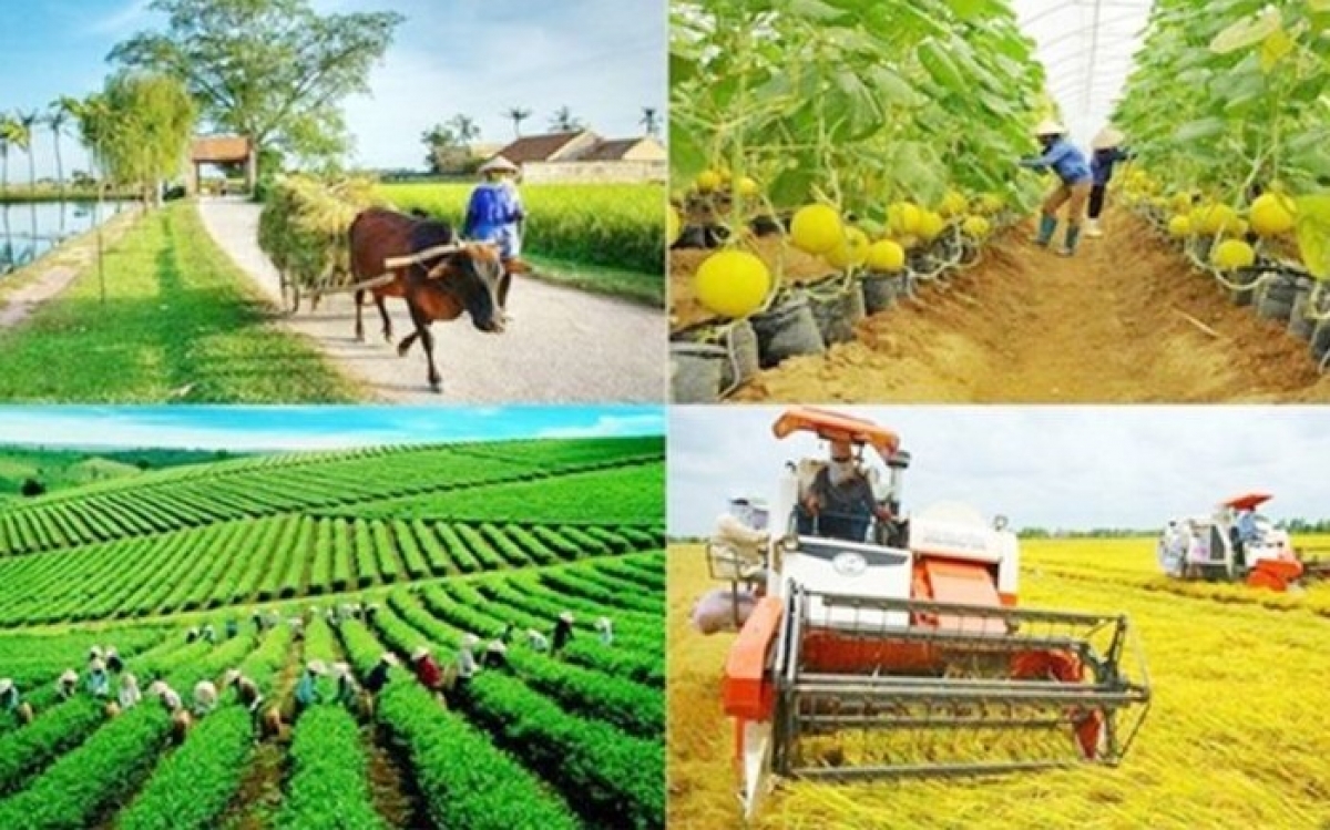 Chính phủ thông qua hồ sơ trình Quốc hội về thống nhất 4 Chương trình mục tiêu quốc gia