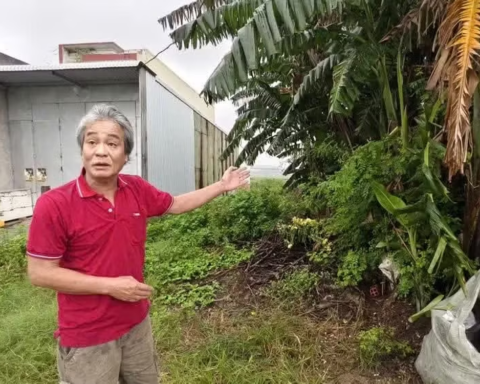 Đất có sổ đỏ 18 năm nhưng ‘không có trên thực địa’: Yêu cầu xử lý dứt điểm trước ngày 15/8