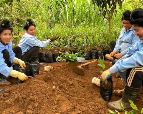 Chương trình mục tiêu quốc gia: Khởi động giai đoạn mới