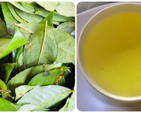Điều gì sẽ xảy ra với cơ thể nếu bạn uống nước chè xanh mỗi ngày?