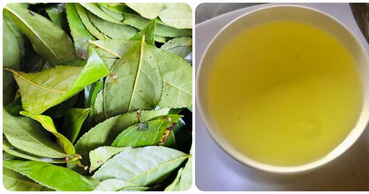 Điều gì sẽ xảy ra với cơ thể nếu bạn uống nước chè xanh mỗi ngày?