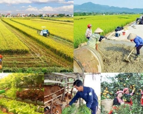 Thống nhất 4 chương trình mục tiêu quốc gia: Đổi cách quản lý và sử dụng nguồn lực