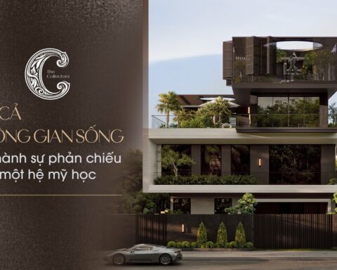 Khi cả không gian sống trở thành sự phản chiếu của một hệ mỹ học