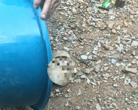 Phát hiện vật thể nghi là sọ người ở Tuyên Quang