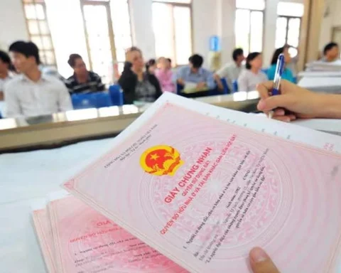 Tâm lý sợ sai khiến việc cấp sổ đỏ lần đầu ở TPHCM quá ít