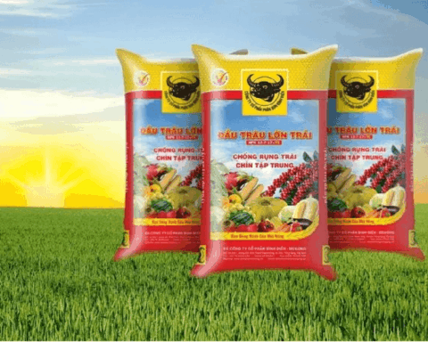 Lợi nhuận “lao dốc”, thù lao nhiều lãnh đạo Phân bón Bình Điền (BFC)  tăng hơn gấp đôi