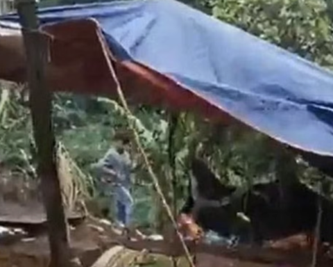 Vụ nữ nhân viên thư viện trường nghi bị đồng nghiệp sát hại, chôn trong rẫy: Hiệu trưởng nói gì về nghi phạm?
