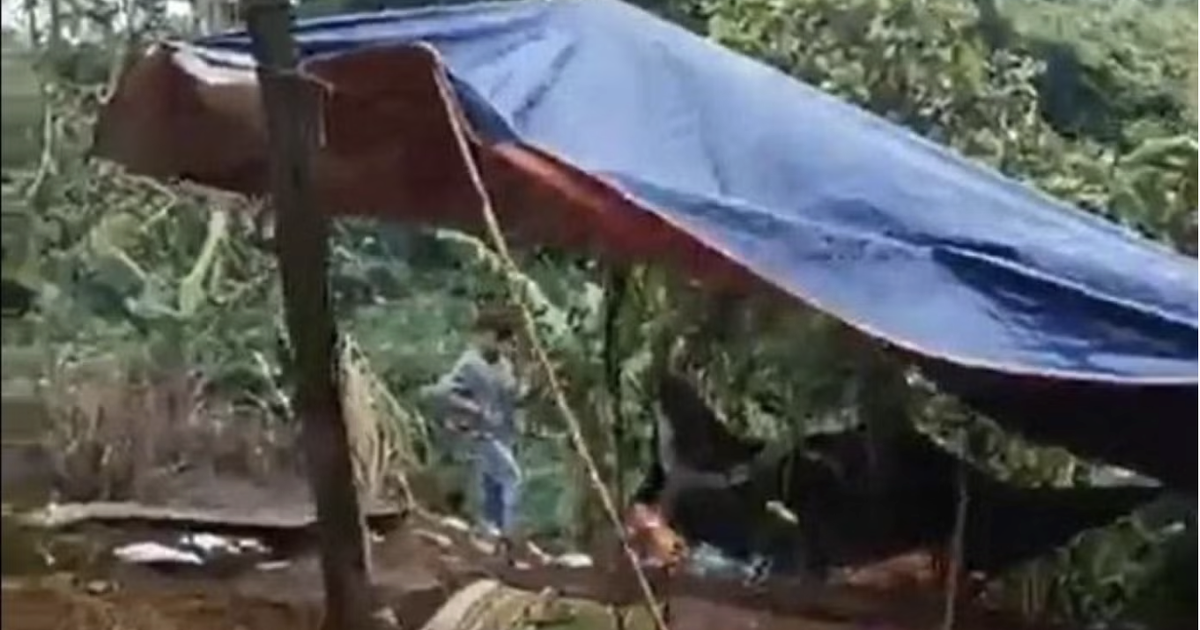 Vụ nữ nhân viên thư viện trường nghi bị đồng nghiệp sát hại, chôn trong rẫy: Hiệu trưởng nói gì về nghi phạm?