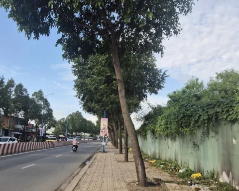 Hàng loạt sai phạm tại khu đất vàng trung tâm Đồng Nai