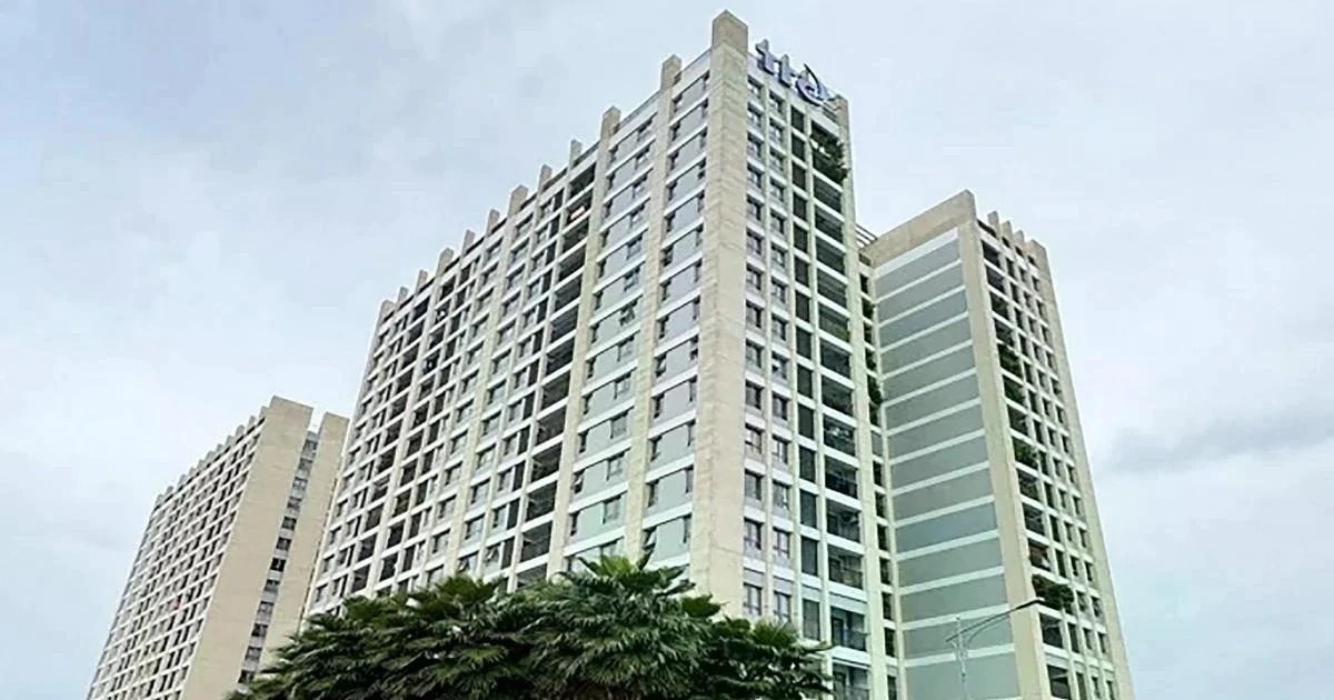 Hơn ngàn căn hộ, đất nền tại TPHCM được cấp sổ