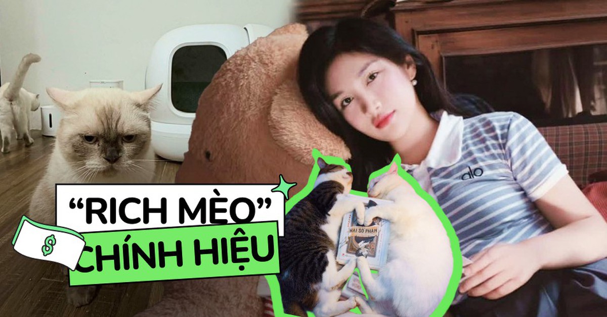 “Rich mèo” có máy đi vệ sinh tự động hơn 12 triệu, được thuê hẳn phòng trọ riêng: Tình trạng túi tiền của các “con sen”