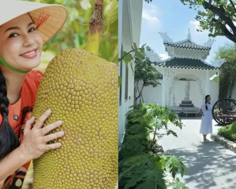 Nhà vườn rộng 3.000m2 của người đẹp Tây Đô Việt Trinh