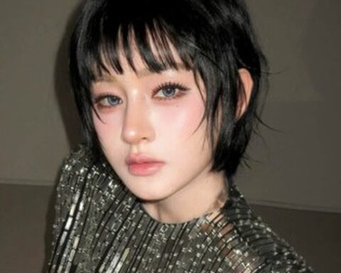 Hiền Hồ nên dừng lại