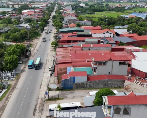 Hà Nội: Xử lý hàng loạt vi phạm lấn chiếm đất nông nghiệp, đất công