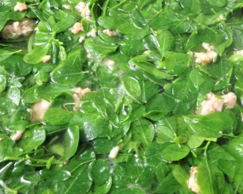 1 loại rau và 1 loại hạt giàu canxi sánh ngang sữa: Đó là gì?