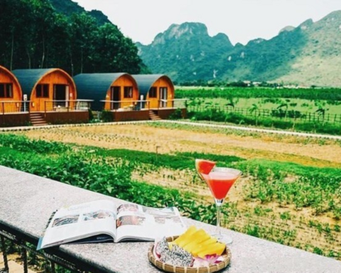 Sau cơn sốt ‘bỏ phố về rừng’, bất động sản trang trại giảm giá vẫn ế khách mua