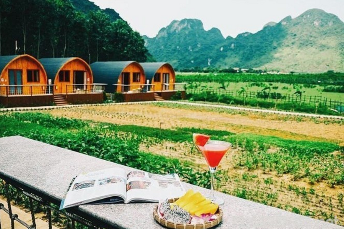 Sau cơn sốt ‘bỏ phố về rừng’, bất động sản trang trại giảm giá vẫn ế khách mua