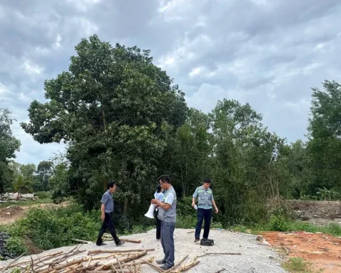 Thanh tra chỉ ra hàng trăm ha đất rừng tại Phú Quốc bị lấn chiếm