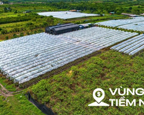 Toàn cảnh khu đất nơi Vingroup có thể xây tháp đôi nhiều tầng nhất thế giới, diện tích sàn gấp hơn 2 lần Burj Khalifa