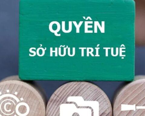 Tăng cường chế tài xử lý các hành vi xâm phạm quyền, vi phạm pháp luật về sở hữu trí tuệ