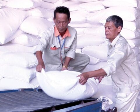 Kiểm tra việc đấu thầu, nhập gạo dự trữ quốc gia