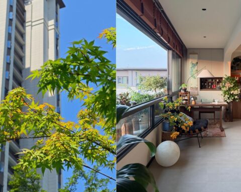 Bất chấp mọi lời khuyên, tôi bán căn hộ tầng 25 để chuyển xuống tầng 4: Ở rồi mới thấy “cảnh”…