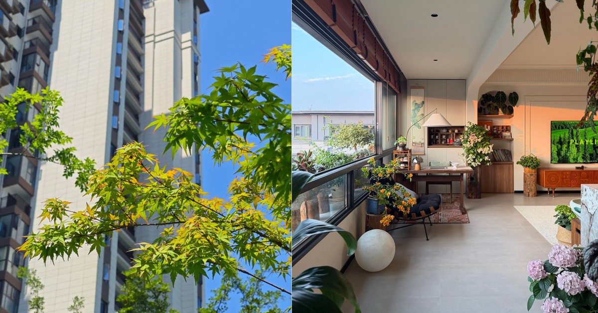 Bất chấp mọi lời khuyên, tôi bán căn hộ tầng 25 để chuyển xuống tầng 4: Ở rồi mới thấy “cảnh”…